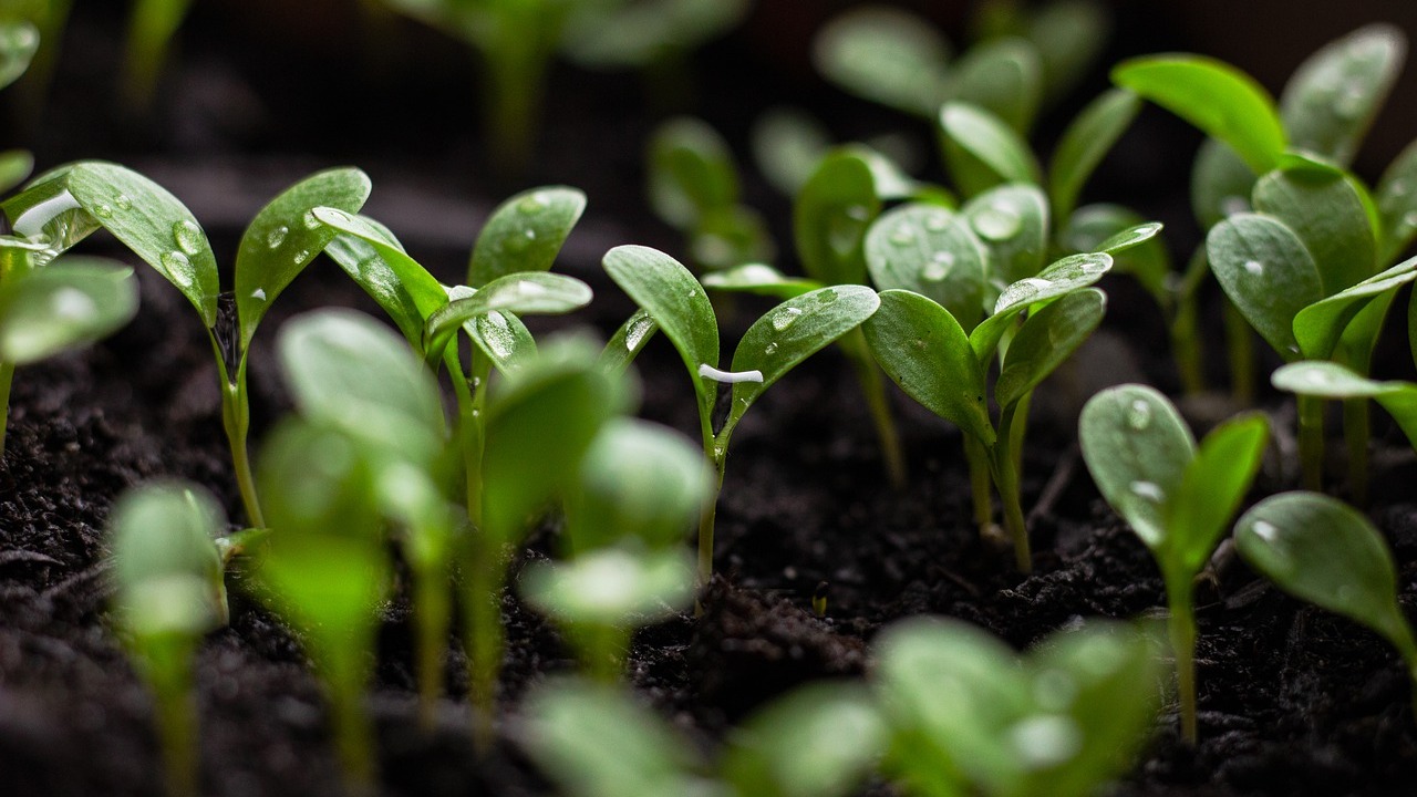 Our take on onboarding: You, at the center of it all