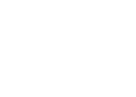 Wildfire logo