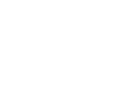 ZOZI logo
